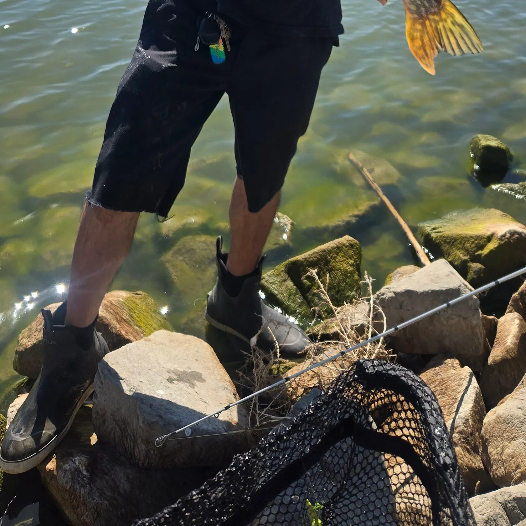catch