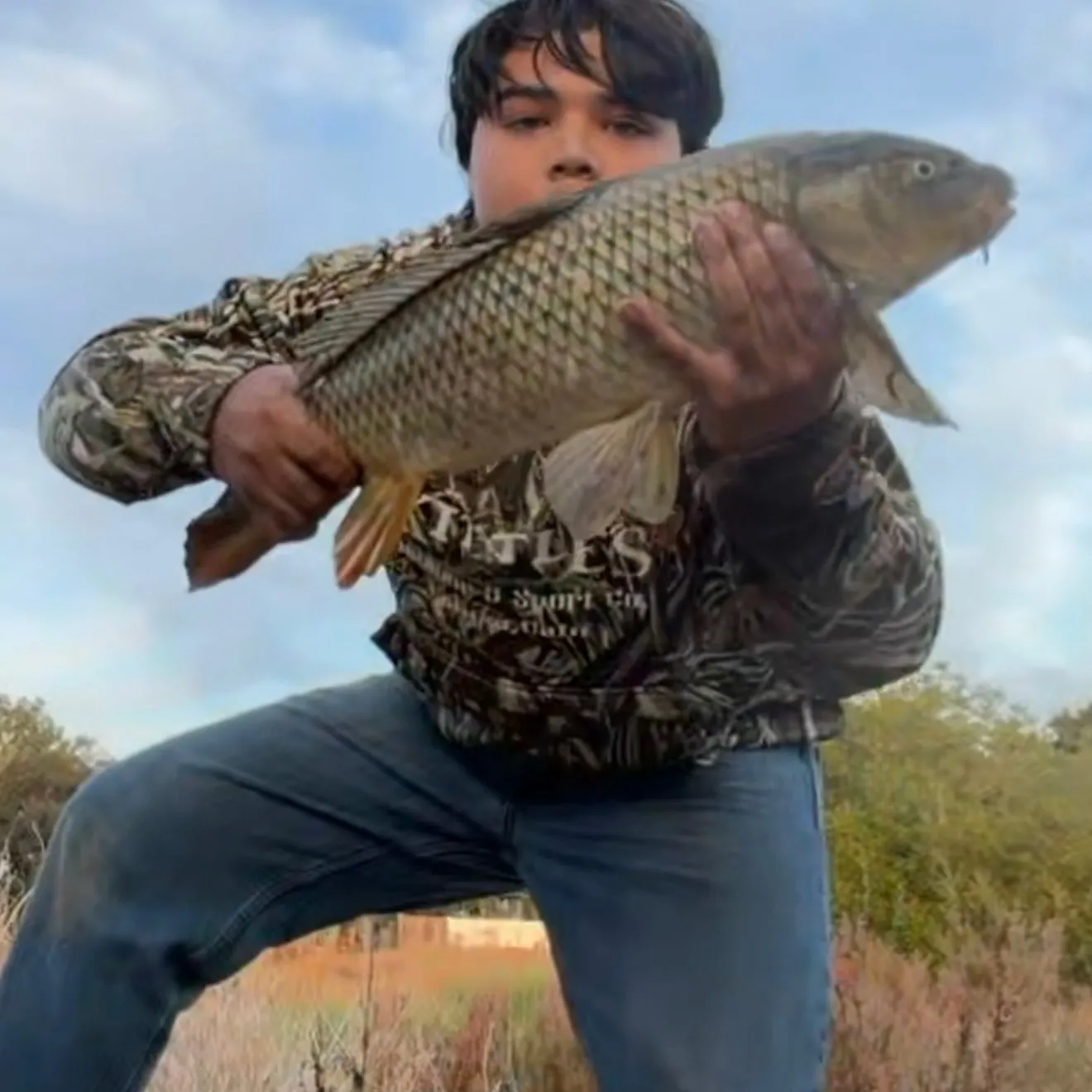 Common carp caught on Fishbrain