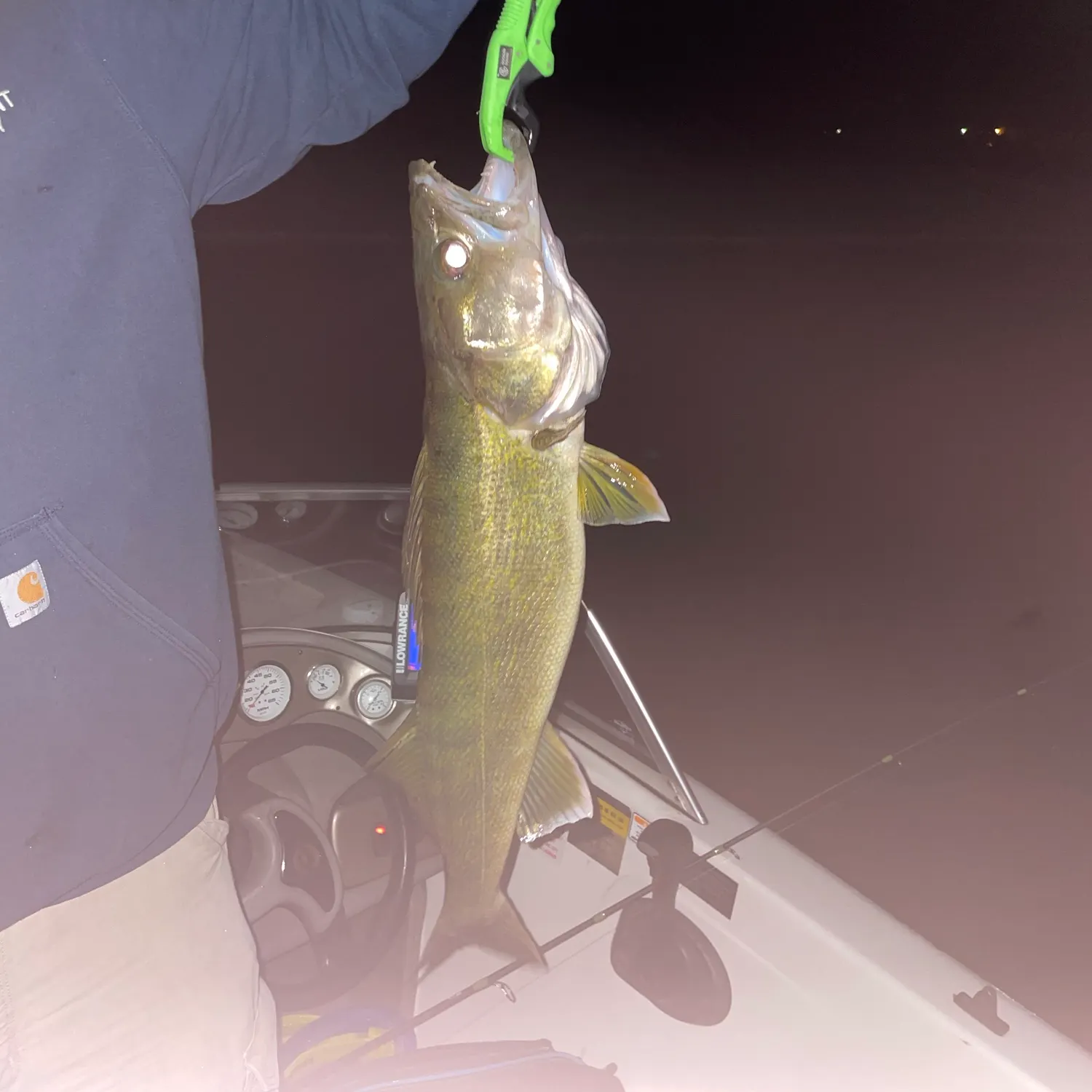 Walleye caught on Fishbrain