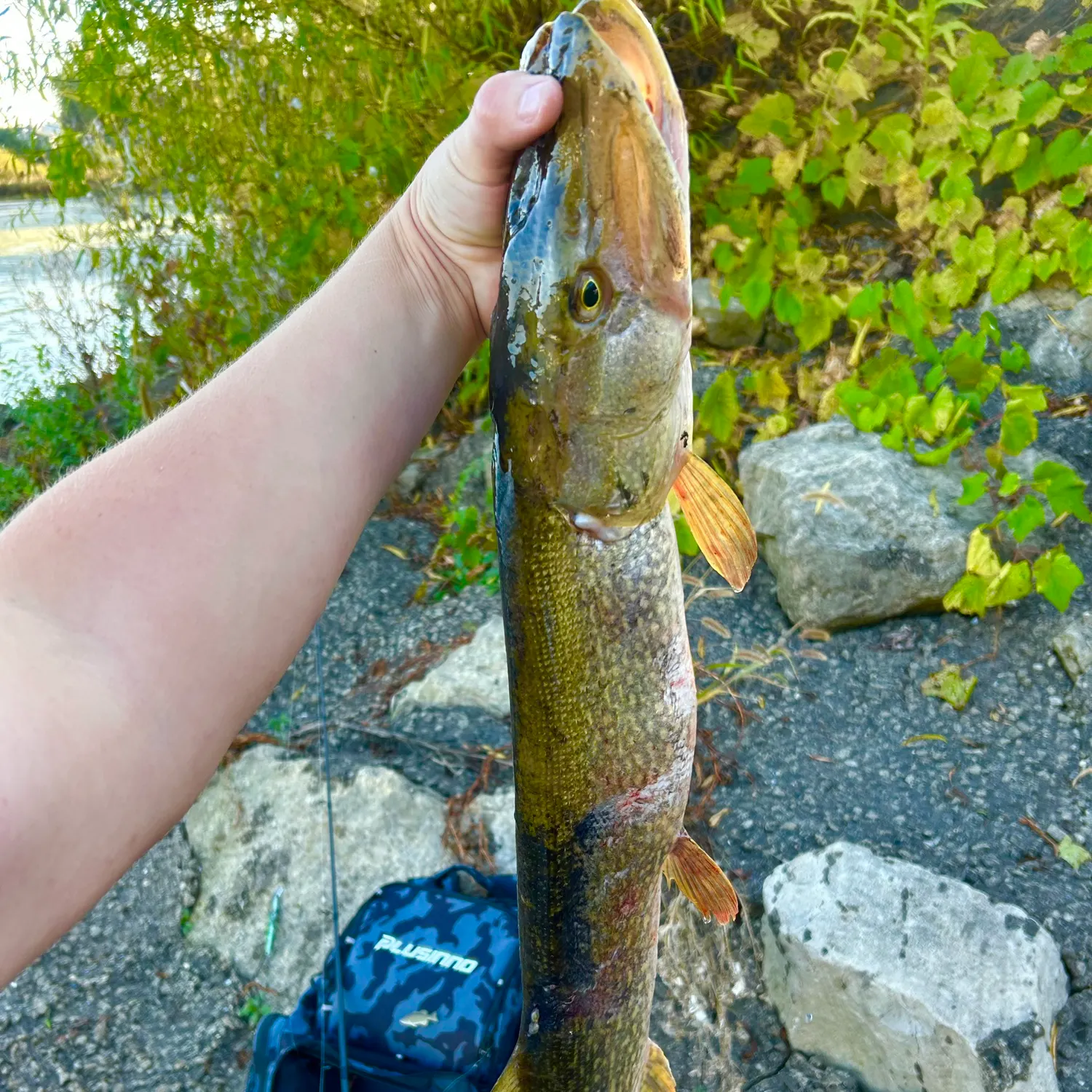 catch