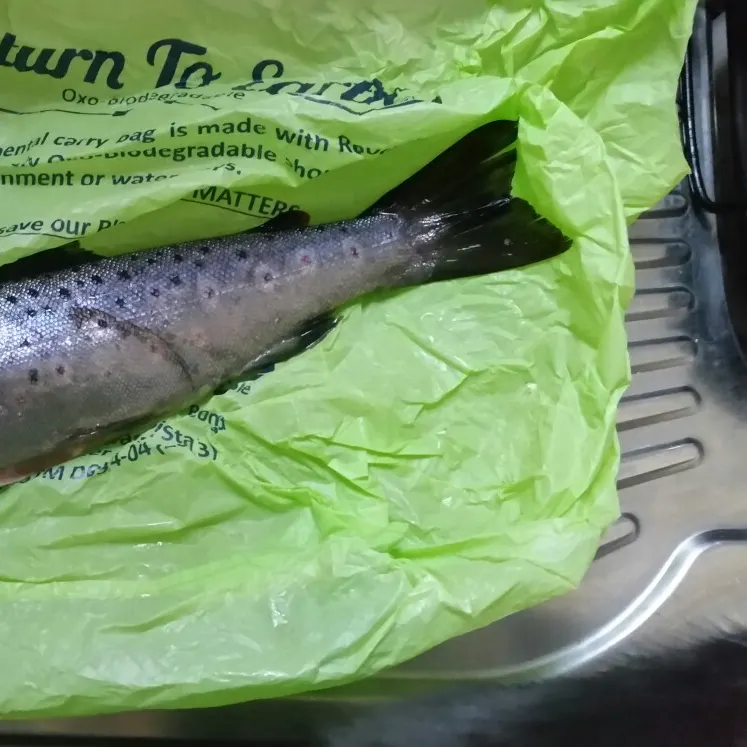 Brown trout caught on Fishbrain