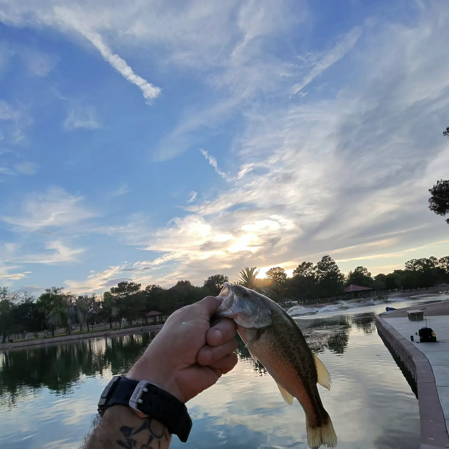 catch