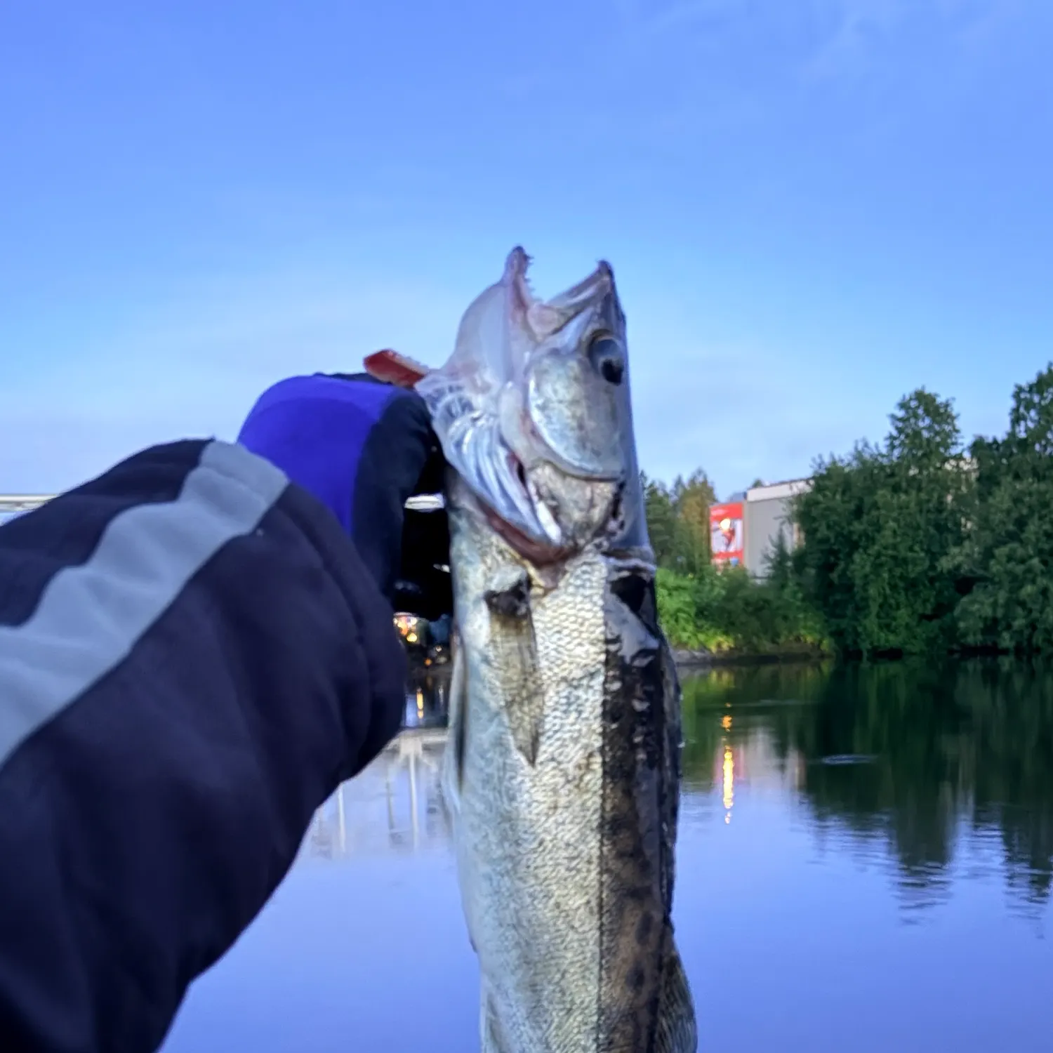catch