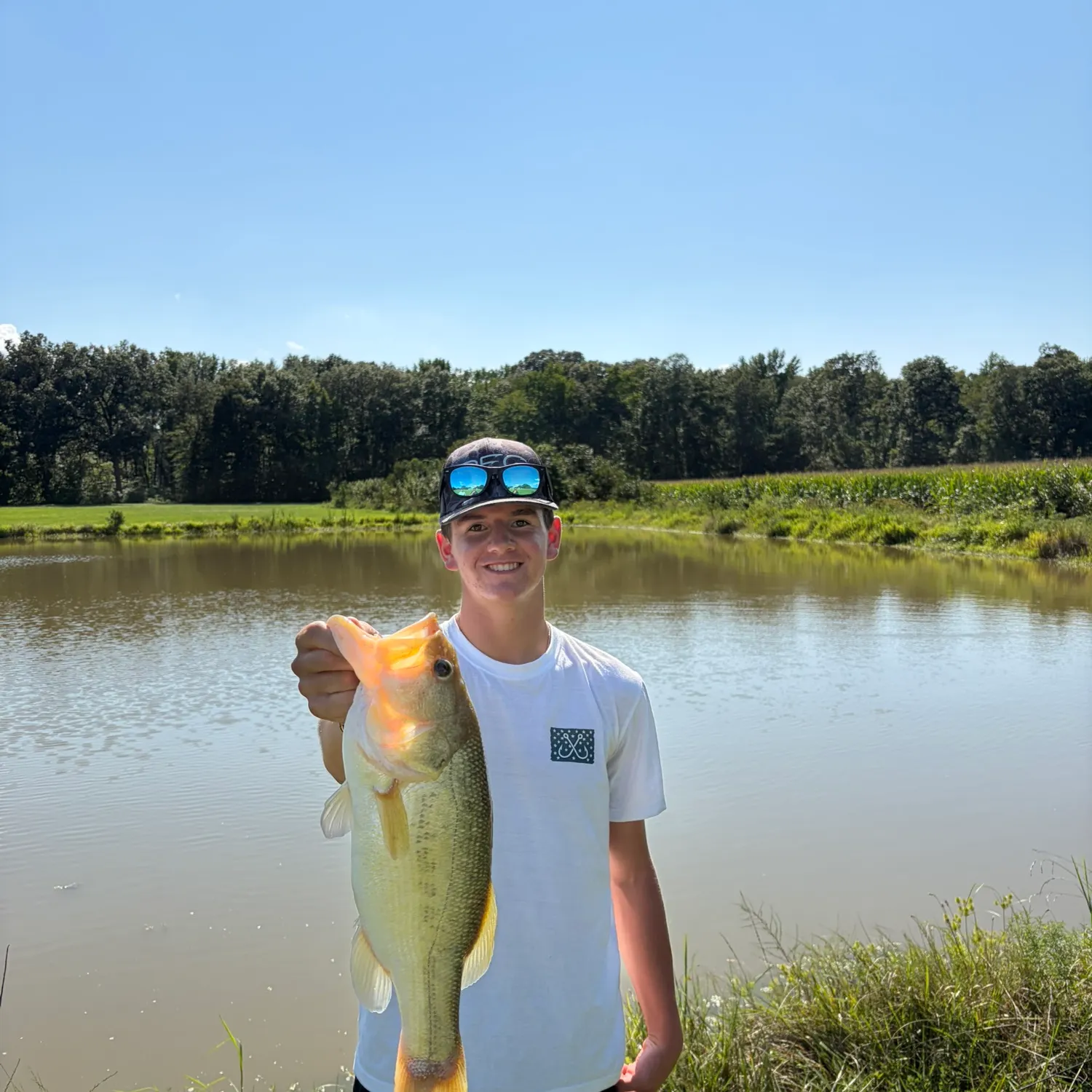 Largemouth bass caught on Fishbrain