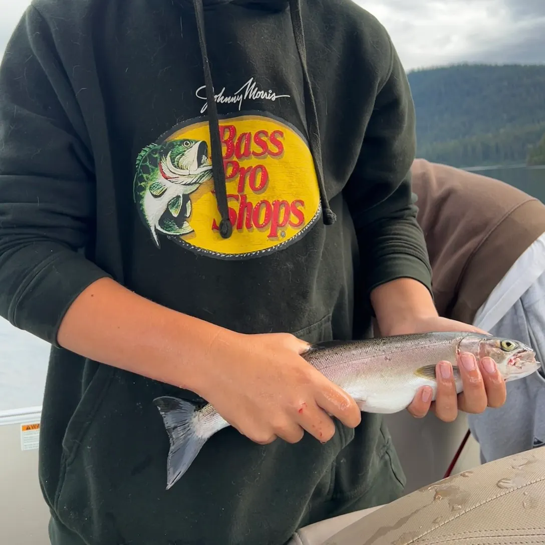 Kamloops trout caught on Fishbrain