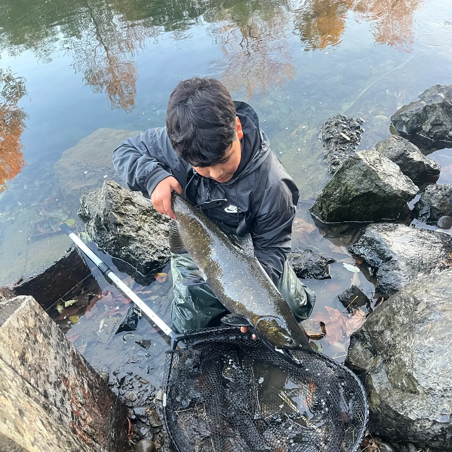 Chinook salmon caught on Fishbrain