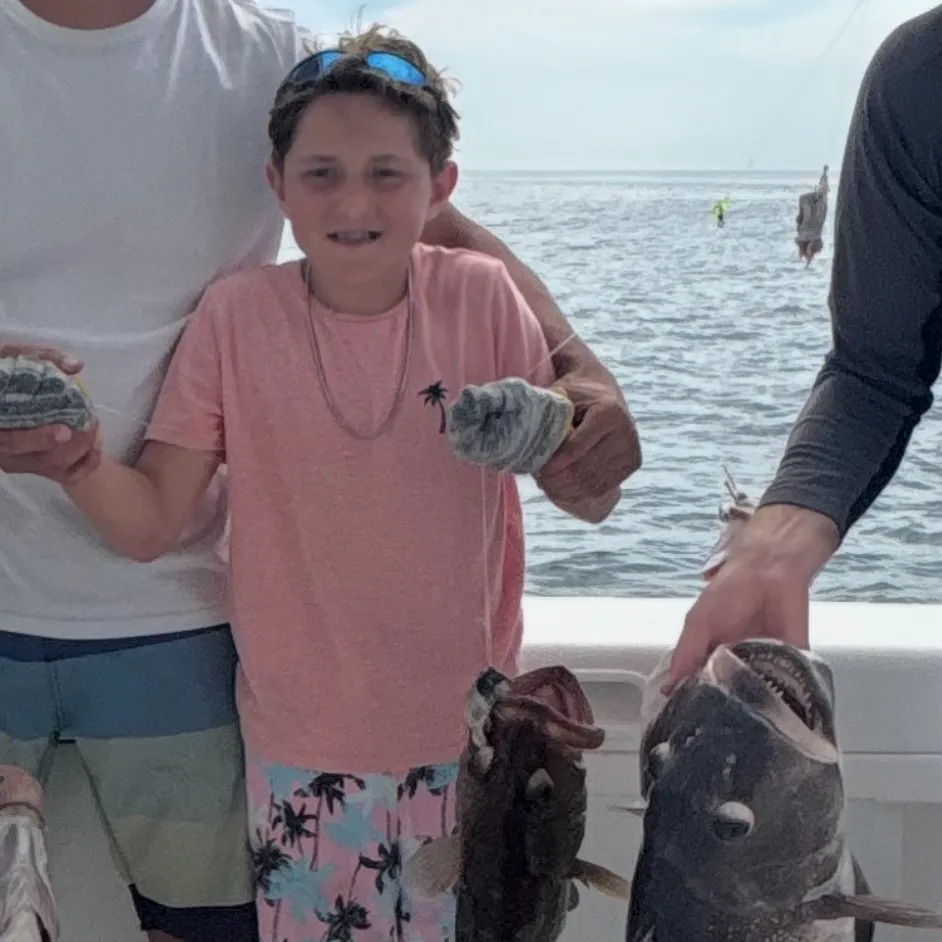 The most recent Namorado sandperch catches on Fishbrain