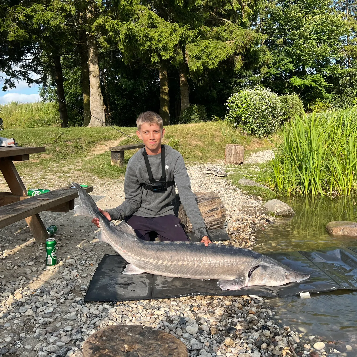 The most recent White sturgeon catches on Fishbrain