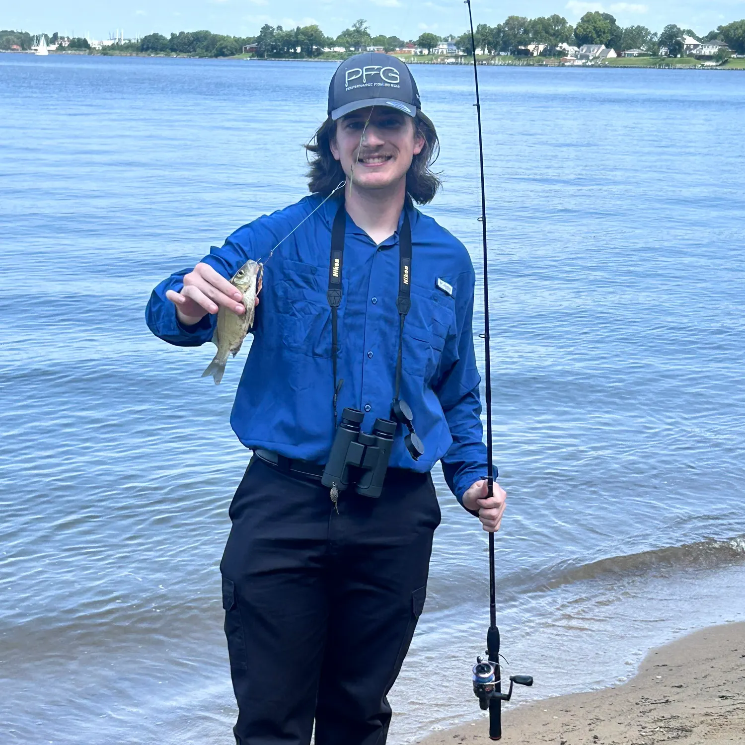 White perch caught on Fishbrain
