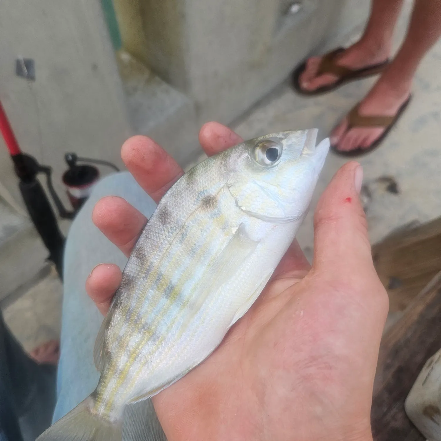 catch