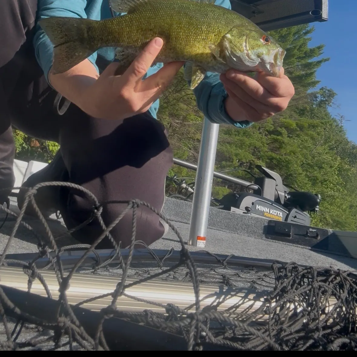 Smallmouth bass caught on Fishbrain