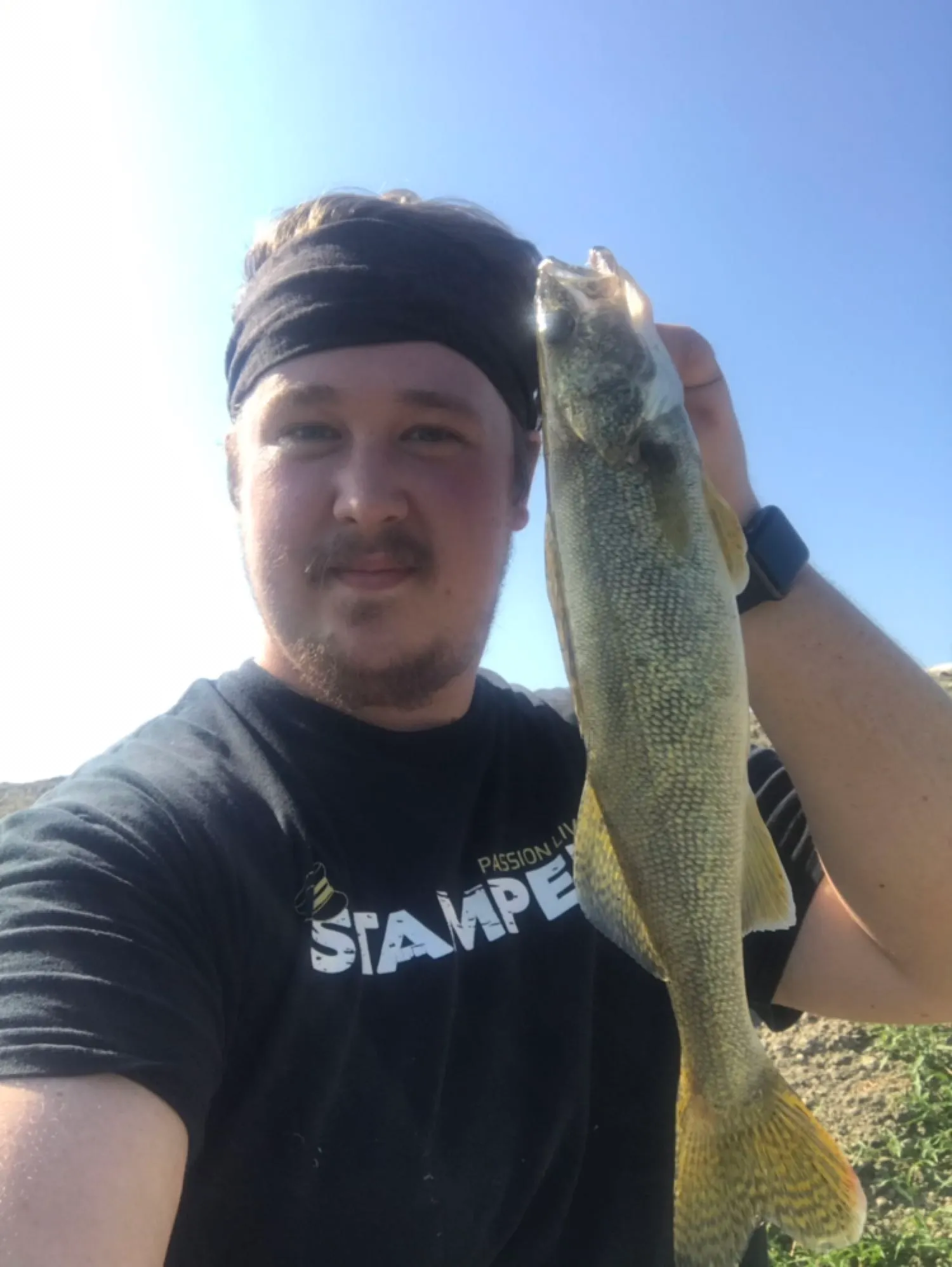 Post image from houston19