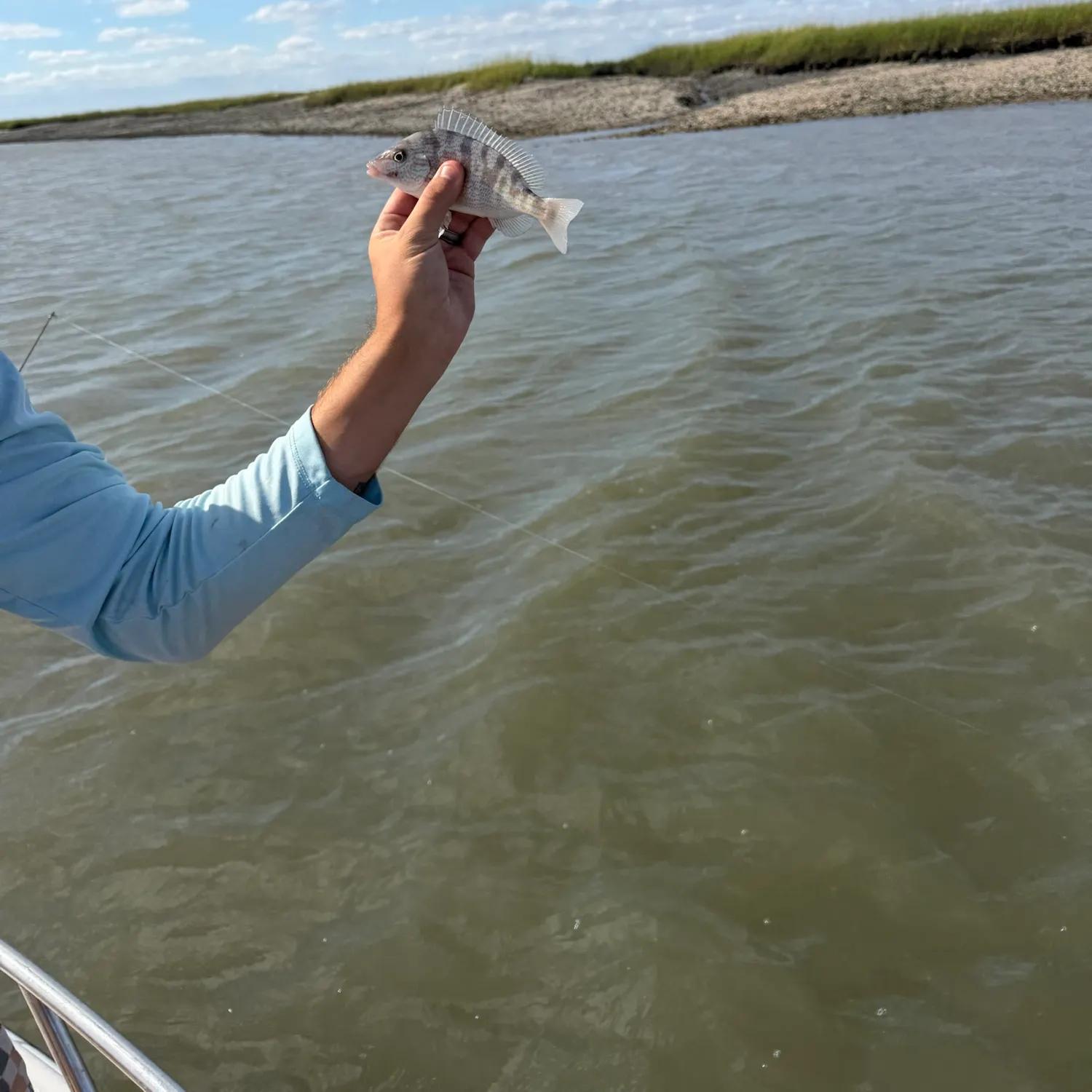 Atlantic croaker caught on Fishbrain