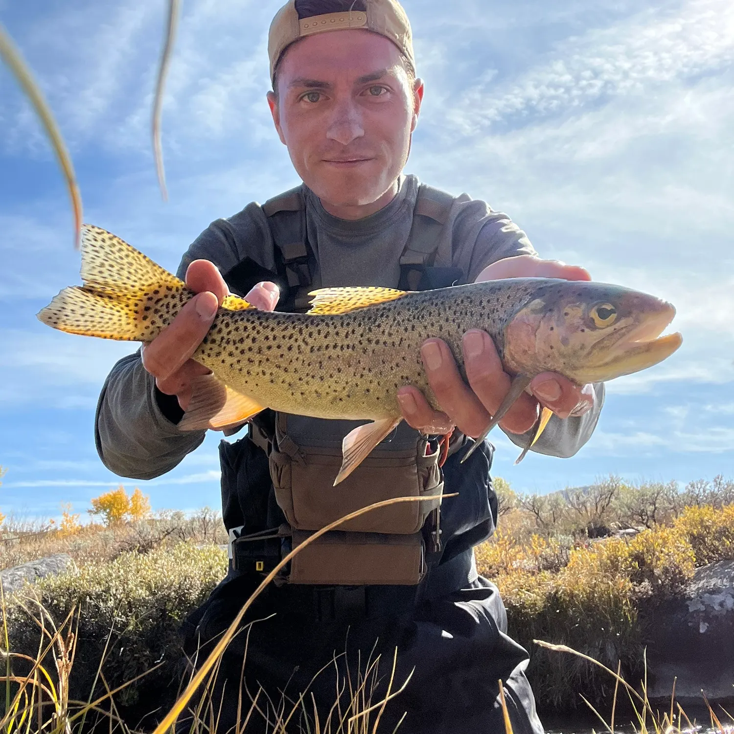 Cutbow caught on Fishbrain