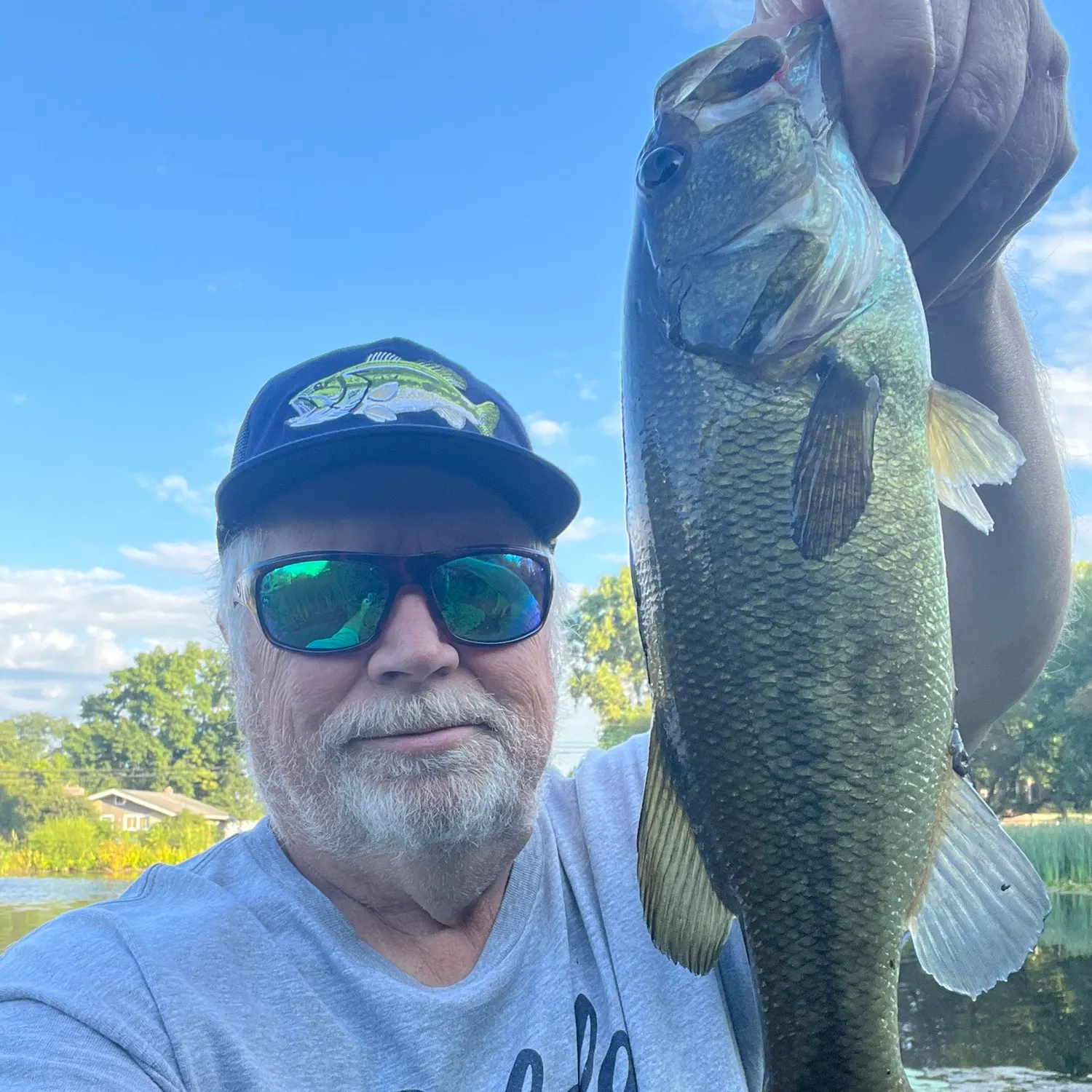 Largemouth bass caught on Fishbrain