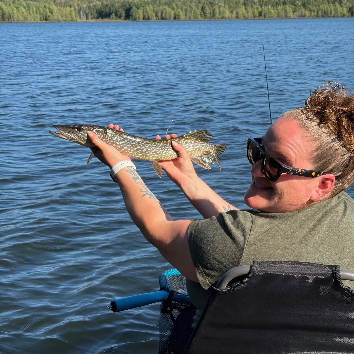 Northern pike caught on Fishbrain
