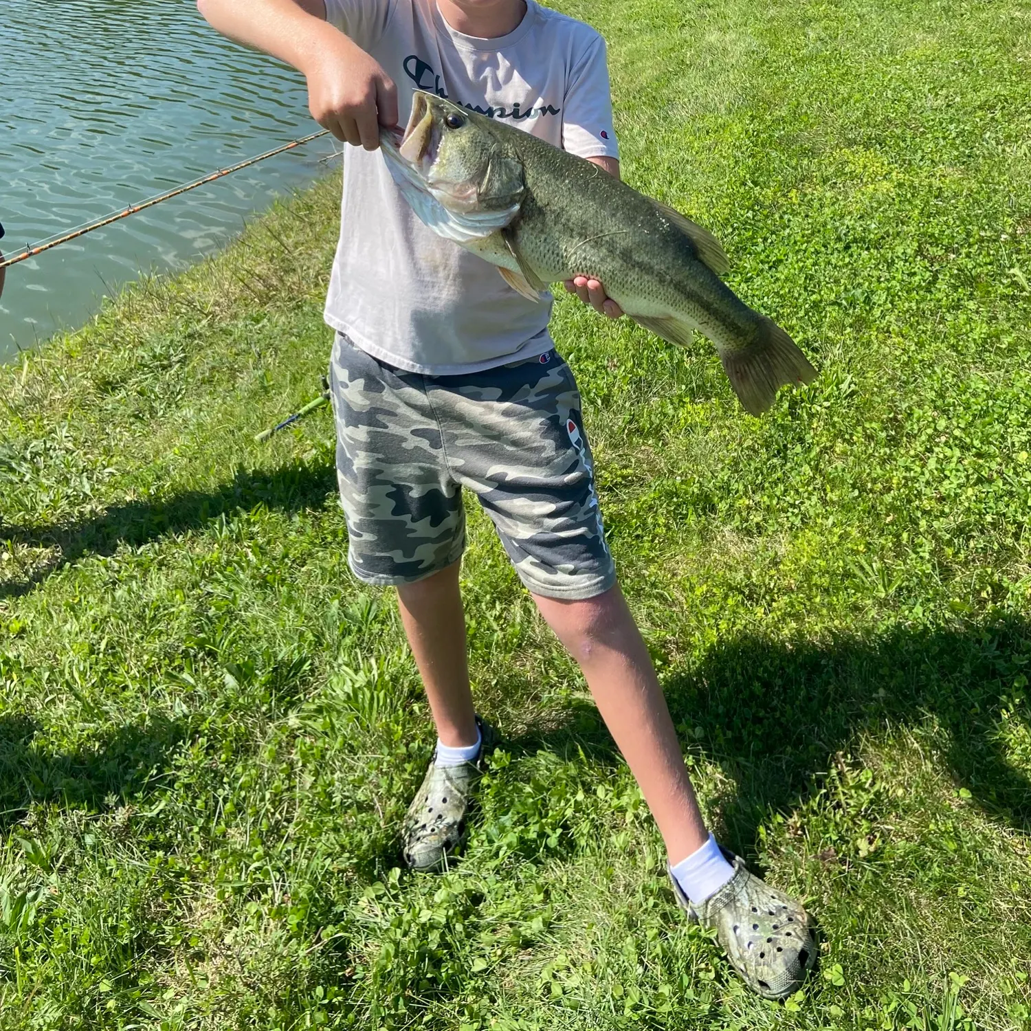 Largemouth bass caught on Fishbrain