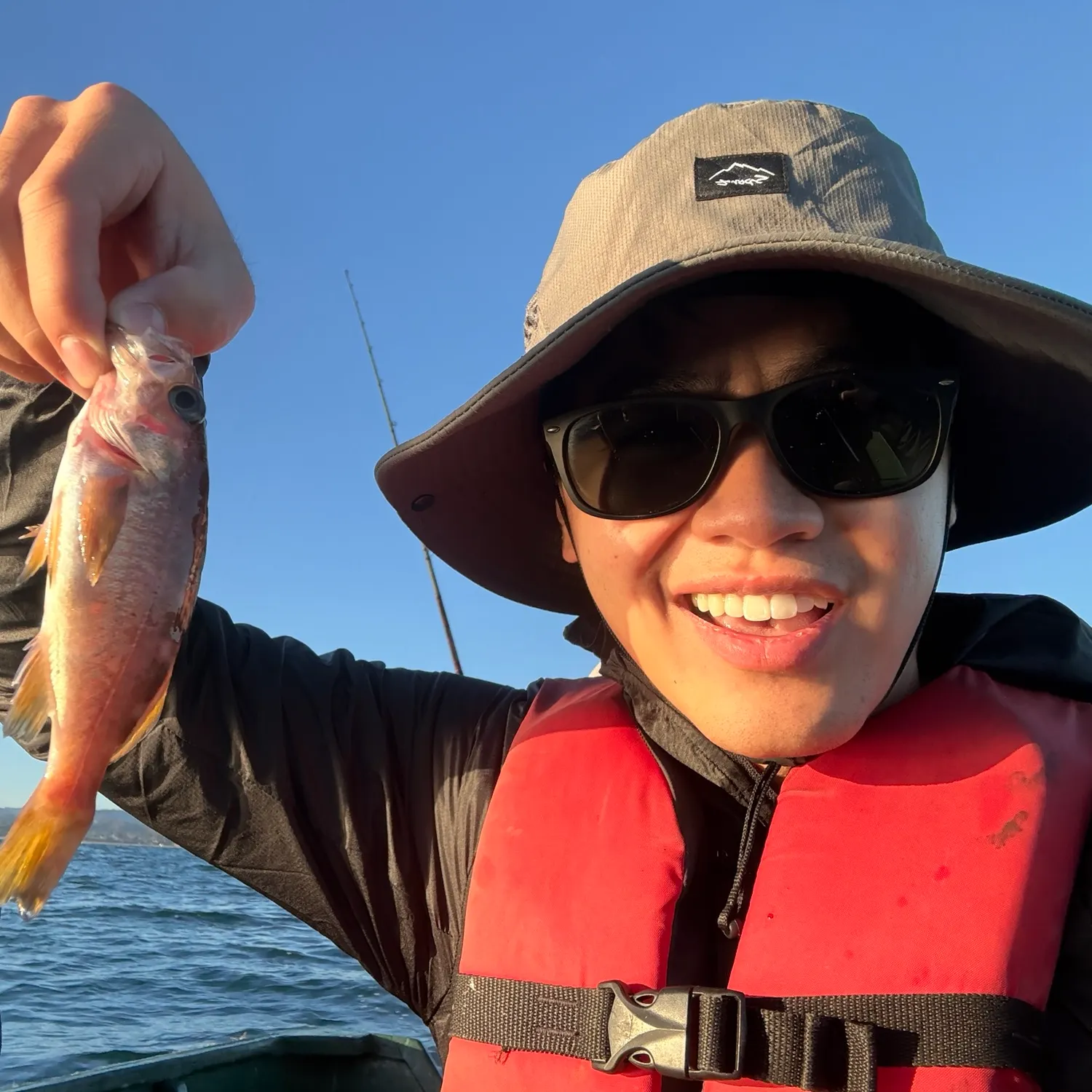 Copper rockfish caught on Fishbrain