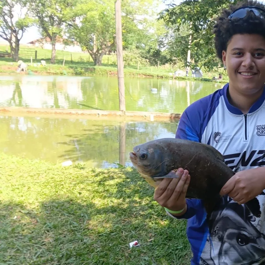 The most recent Small-scaled pacu catches on Fishbrain