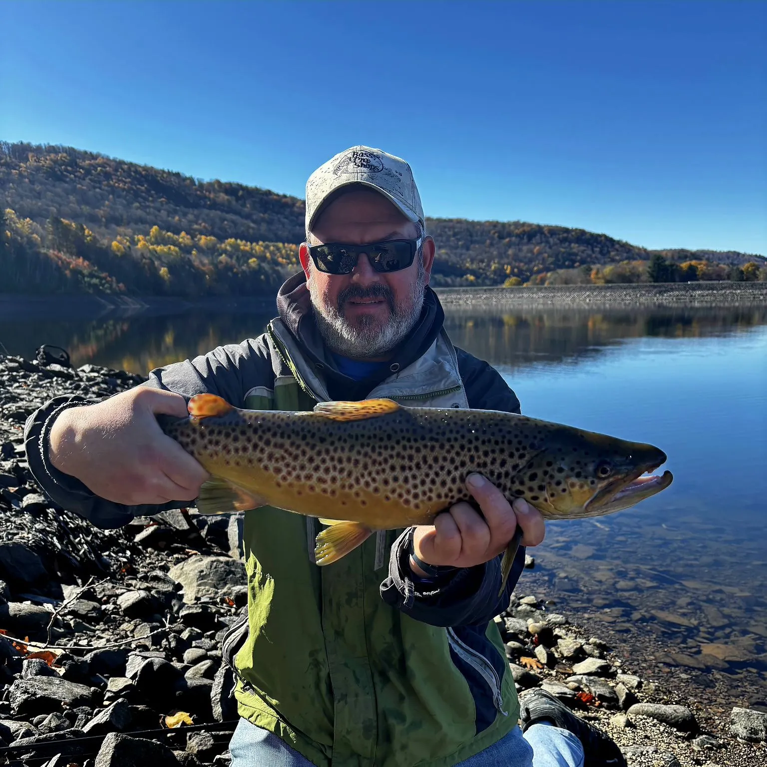 Brown trout caught on Fishbrain