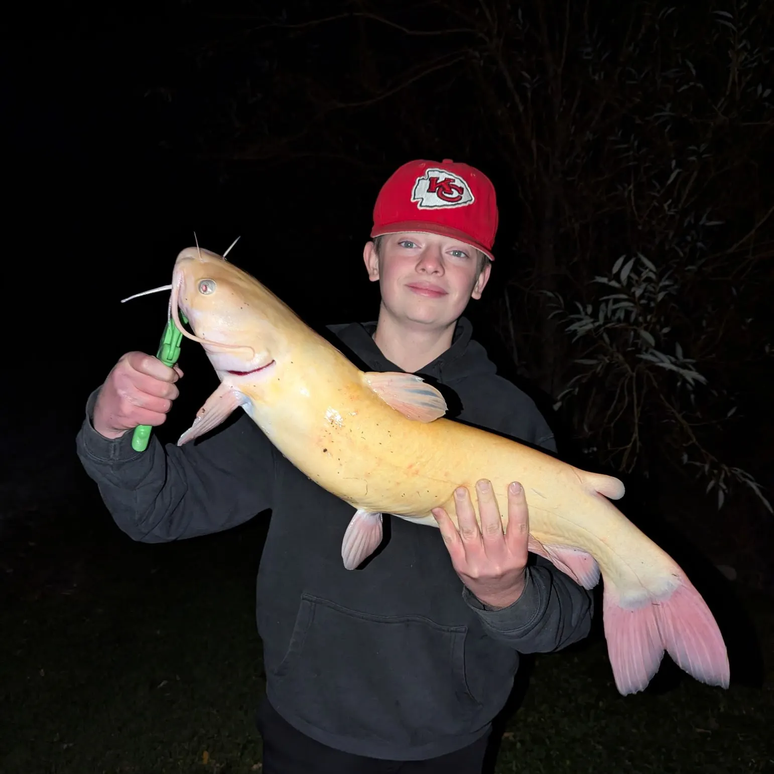 Channel catfish caught on Fishbrain