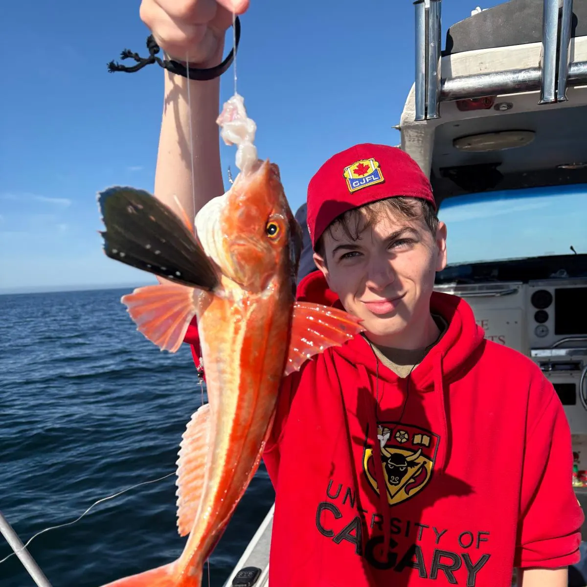 Striped searobin caught on Fishbrain