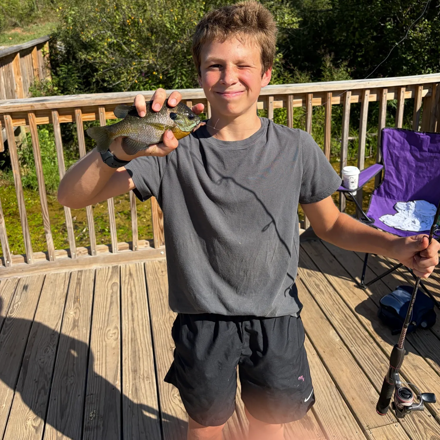 Bluegill caught on Fishbrain