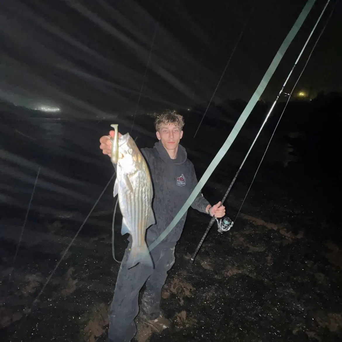 Striped bass caught on Fishbrain