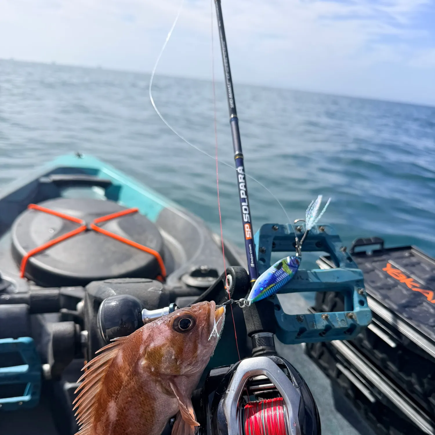 The most recent Copper rockfish catches on Fishbrain