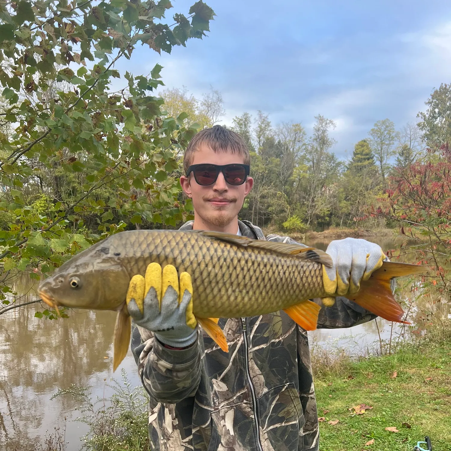 Common carp caught on Fishbrain