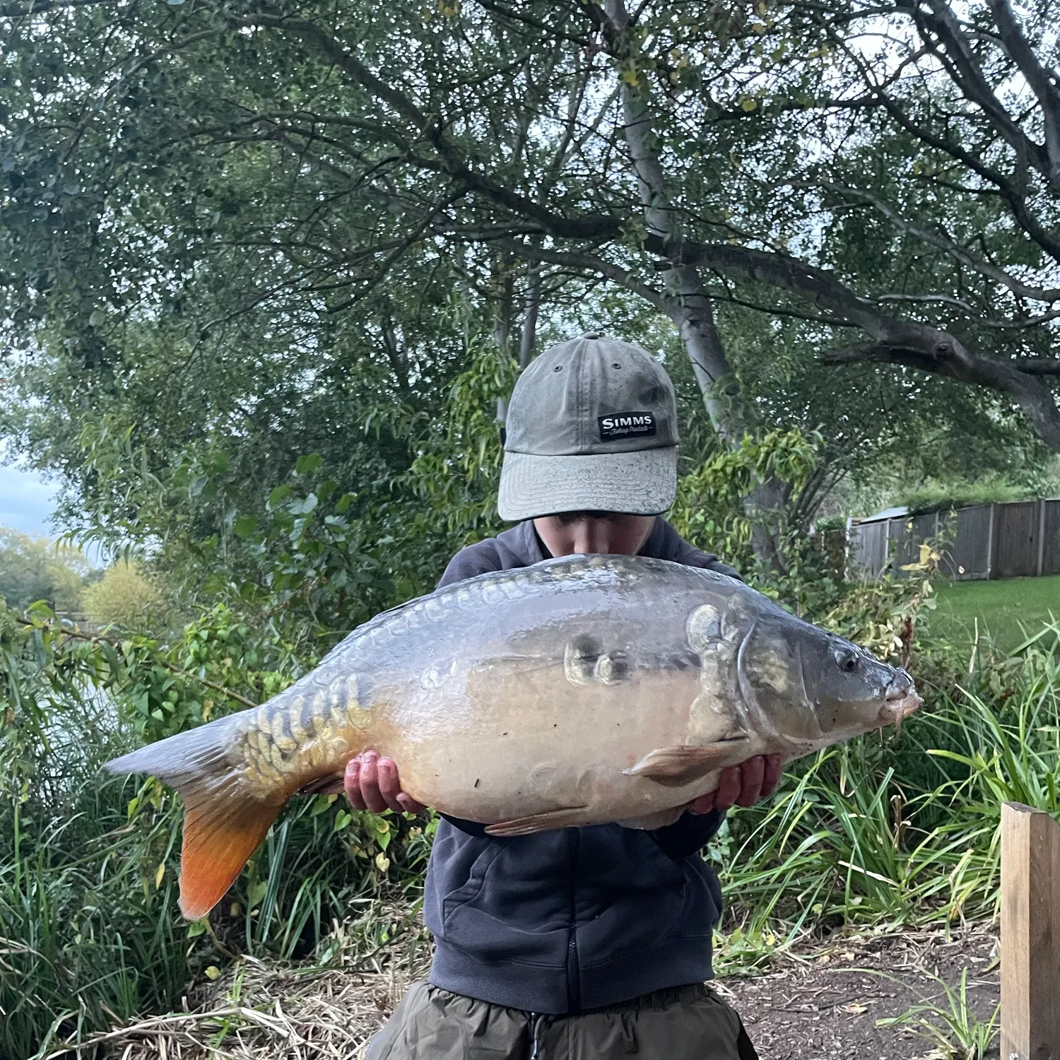 Mirror carp caught on Fishbrain