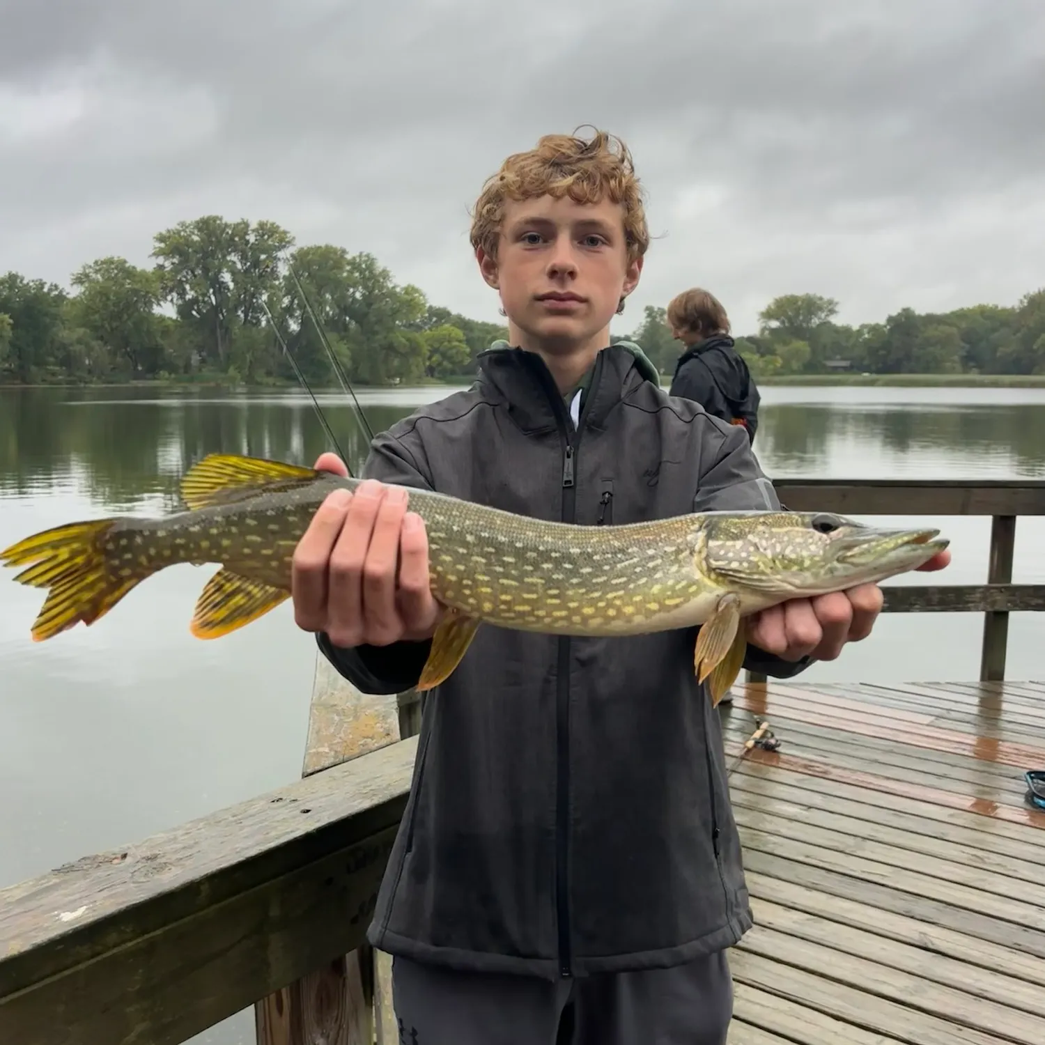 Northern pike caught on Fishbrain