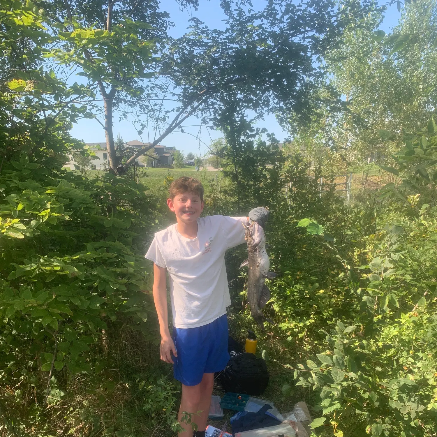 Channel catfish caught on Fishbrain