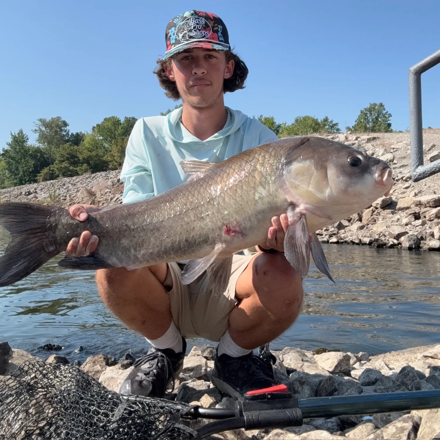 Bigmouth buffalo caught on Fishbrain