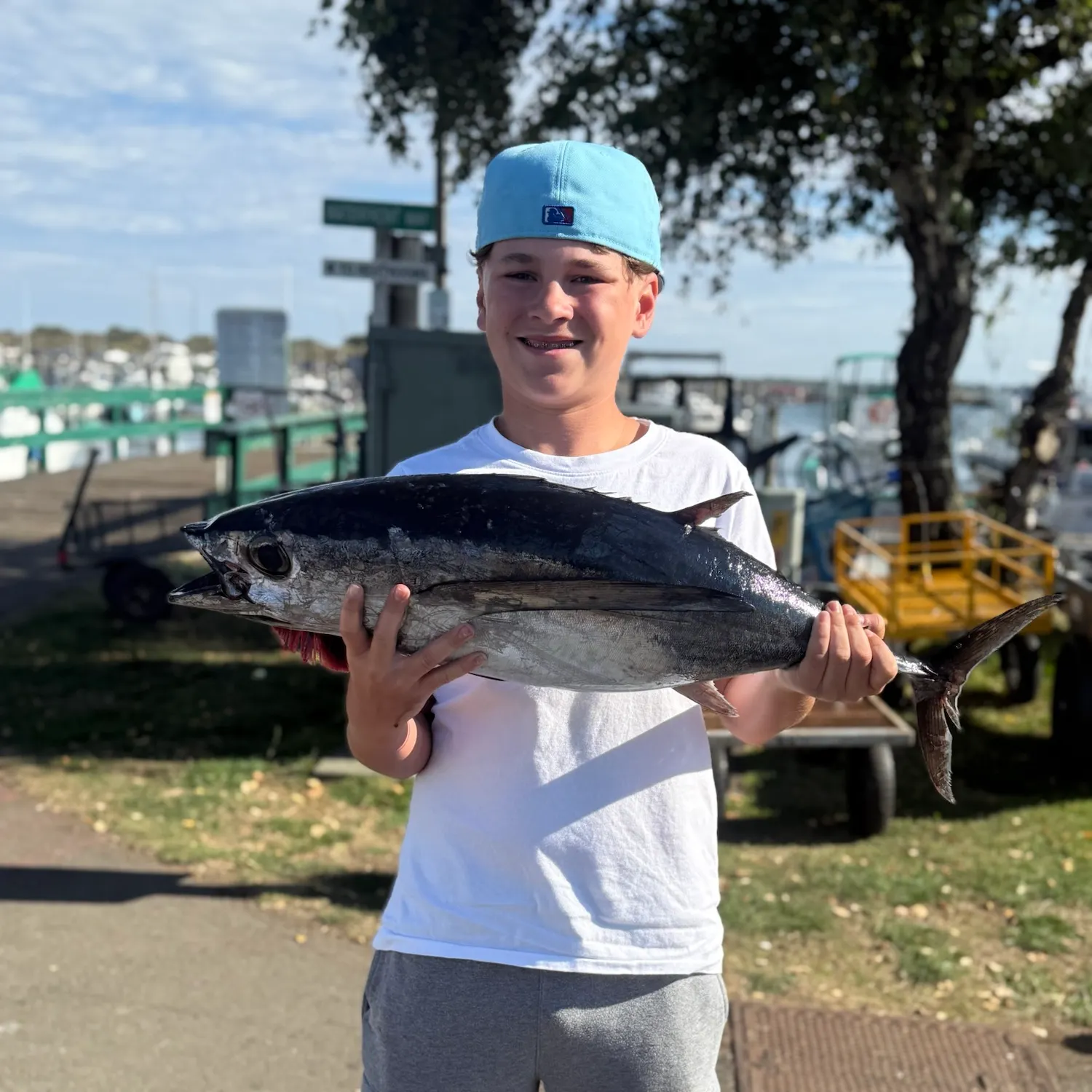 The most recent Skipjack tuna catches on Fishbrain