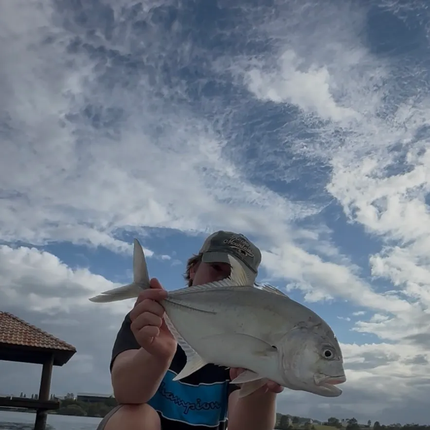 The most recent Giant trevally catches on Fishbrain