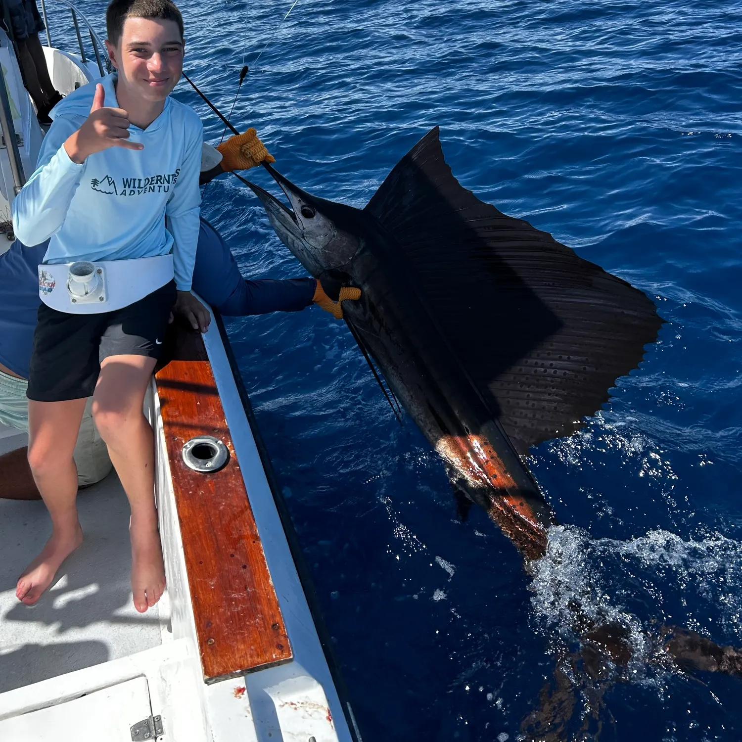 Atlantic sailfish caught on Fishbrain