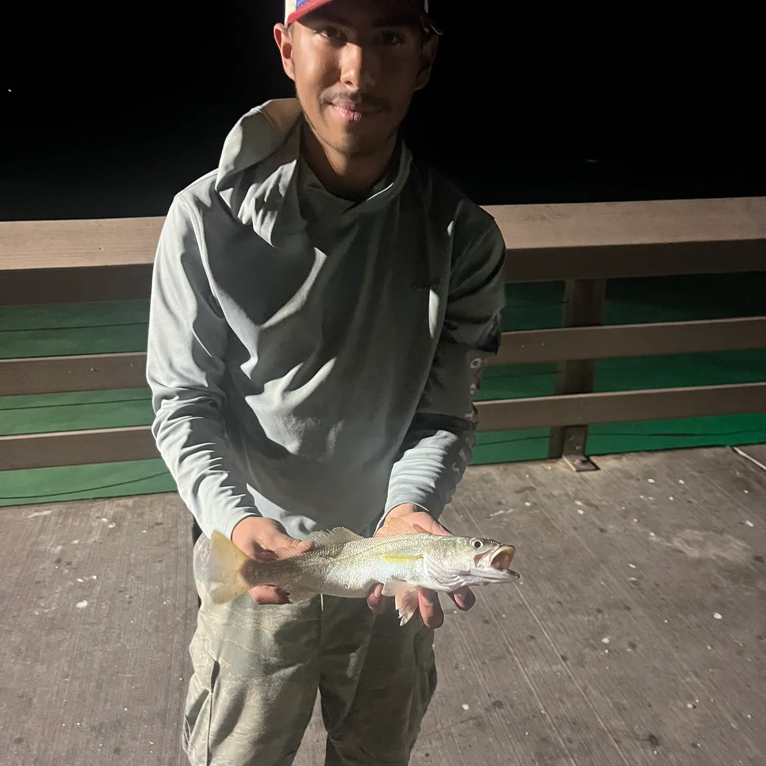 The most recent Sand seatrout catches on Fishbrain