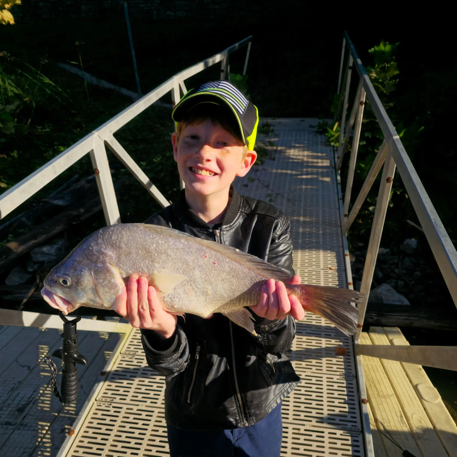Freshwater drum caught on Fishbrain