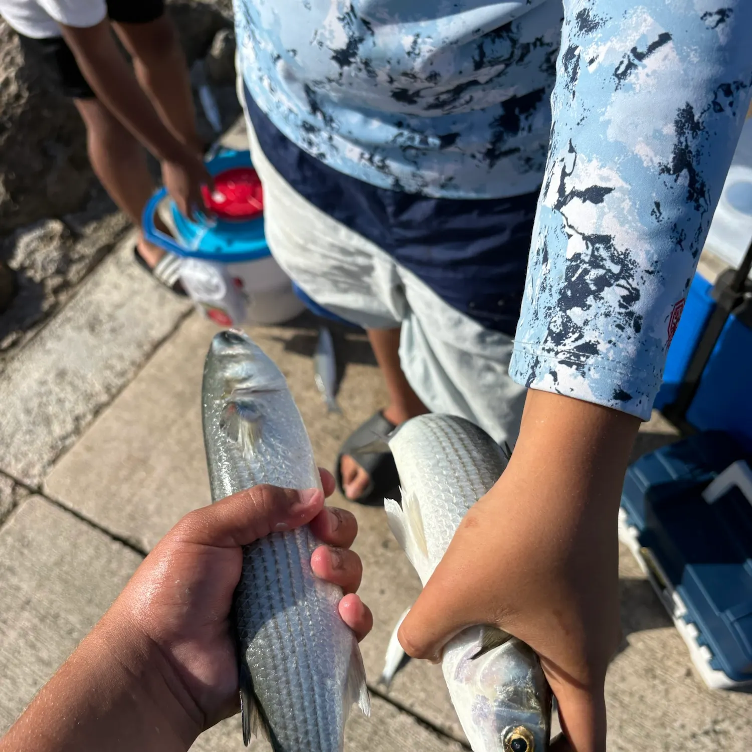 catch