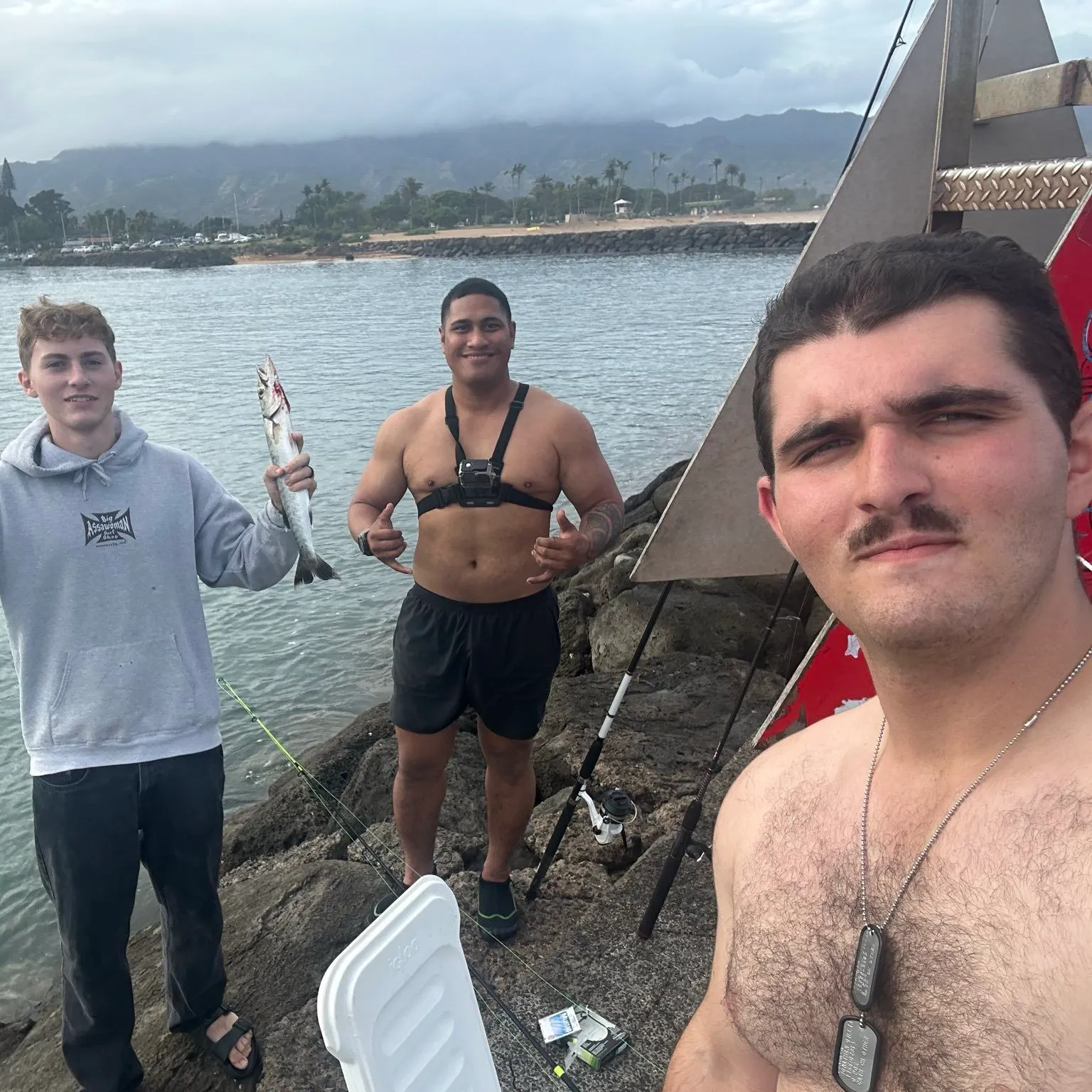 Pacific barracuda caught on Fishbrain