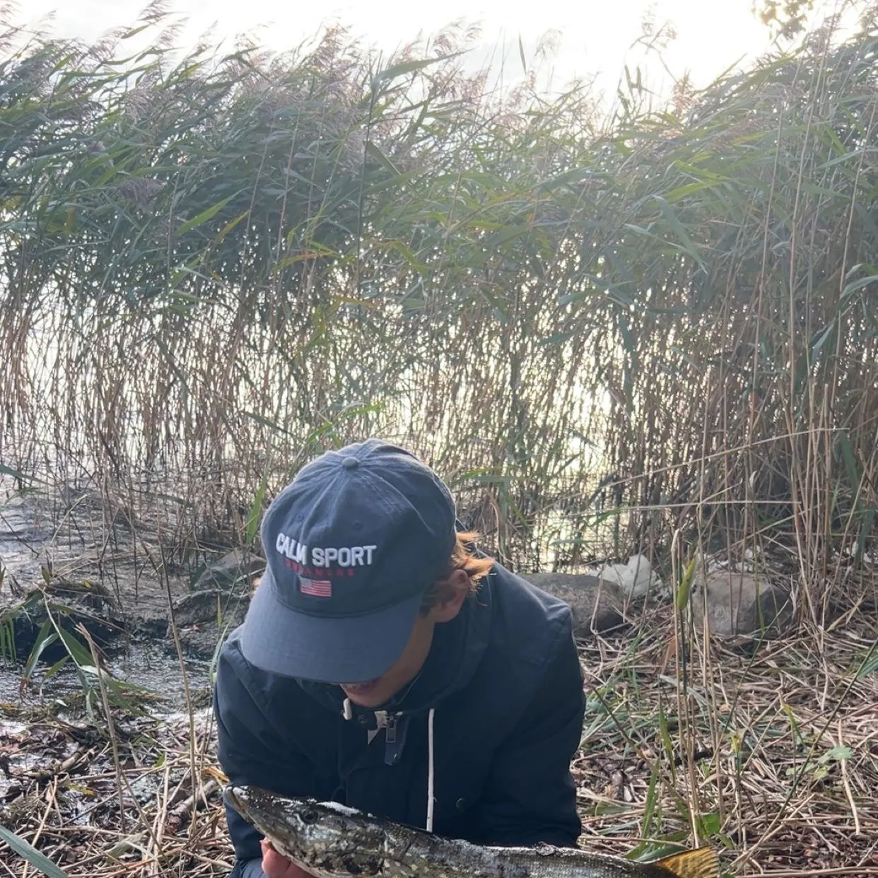 Northern pike caught on Fishbrain