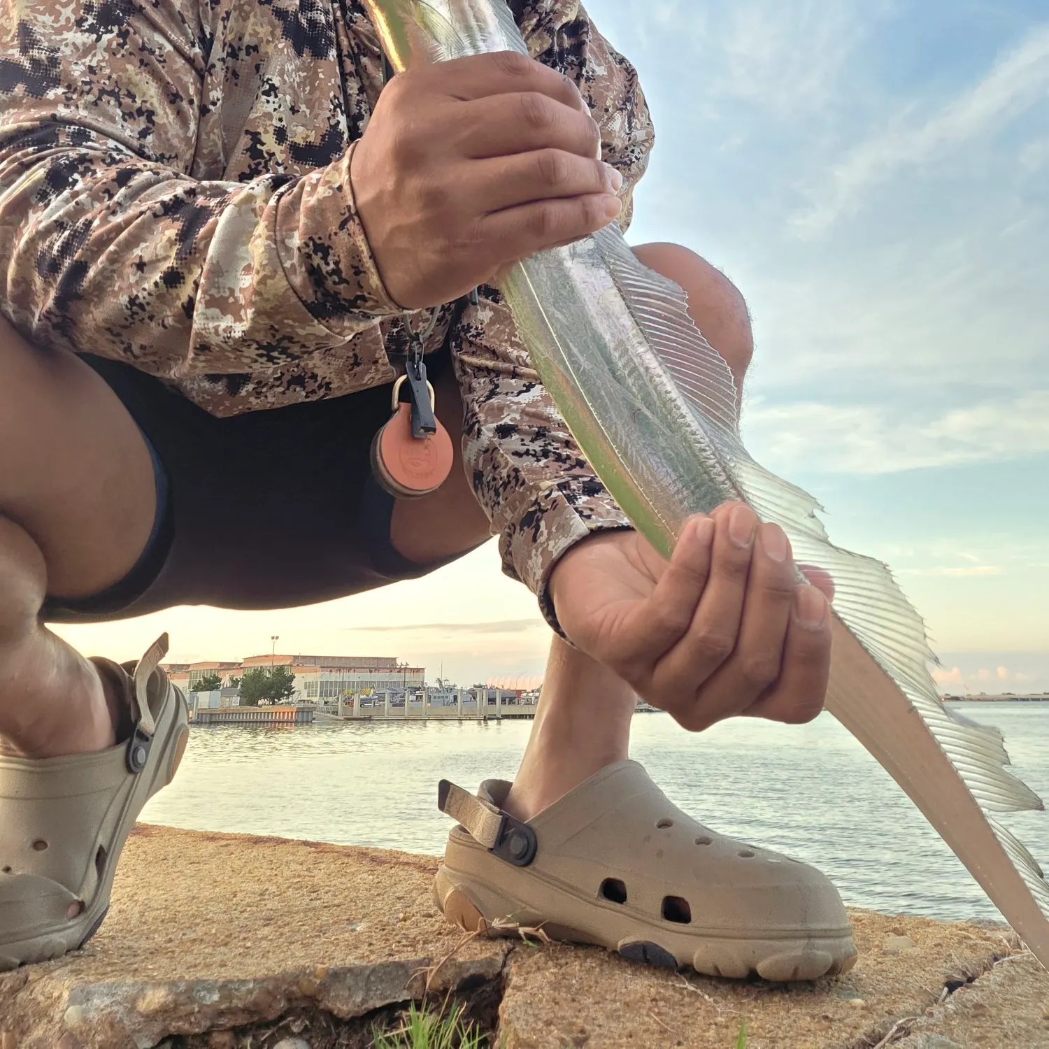 Silver scabbardfish caught on Fishbrain