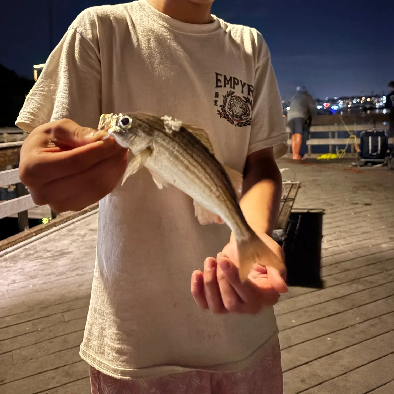 The most recent Californian salema catches on Fishbrain
