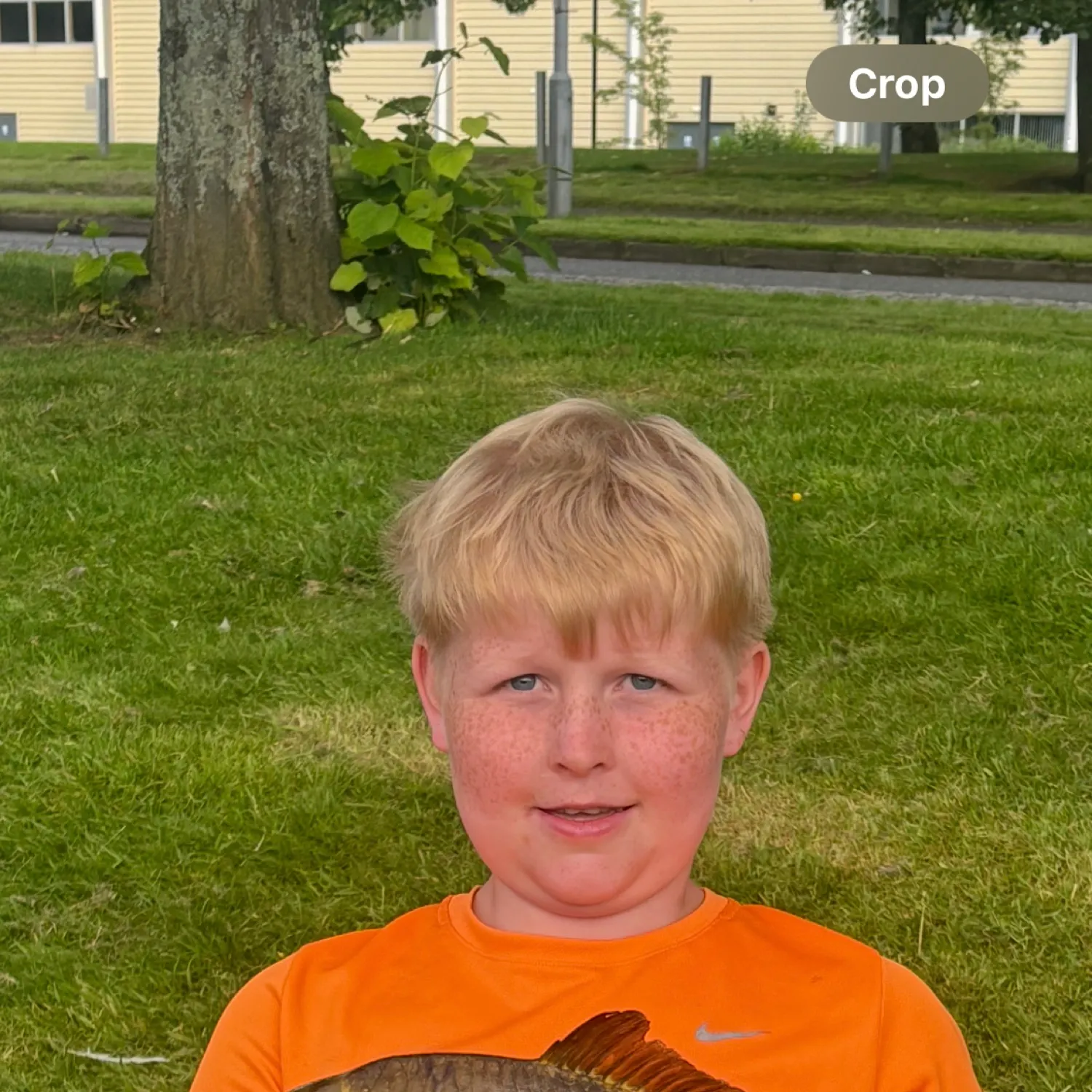 The most recent Common carp catches on Fishbrain