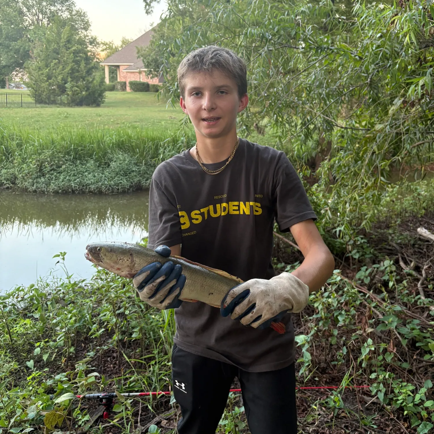 Eyetail bowfin caught on Fishbrain