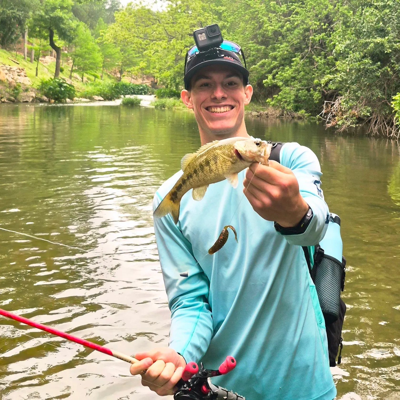 The most recent Guadalupe bass catches on Fishbrain