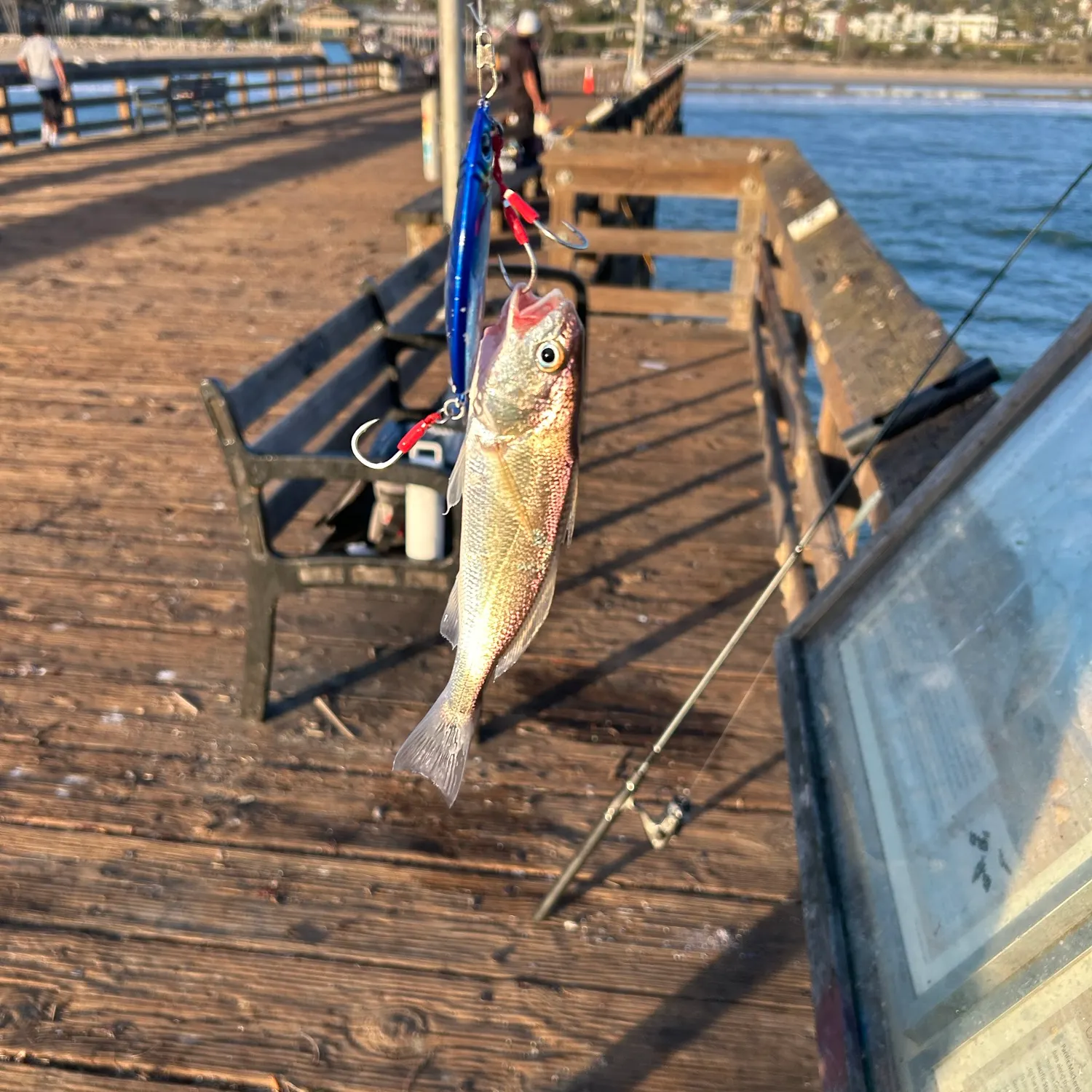 catch