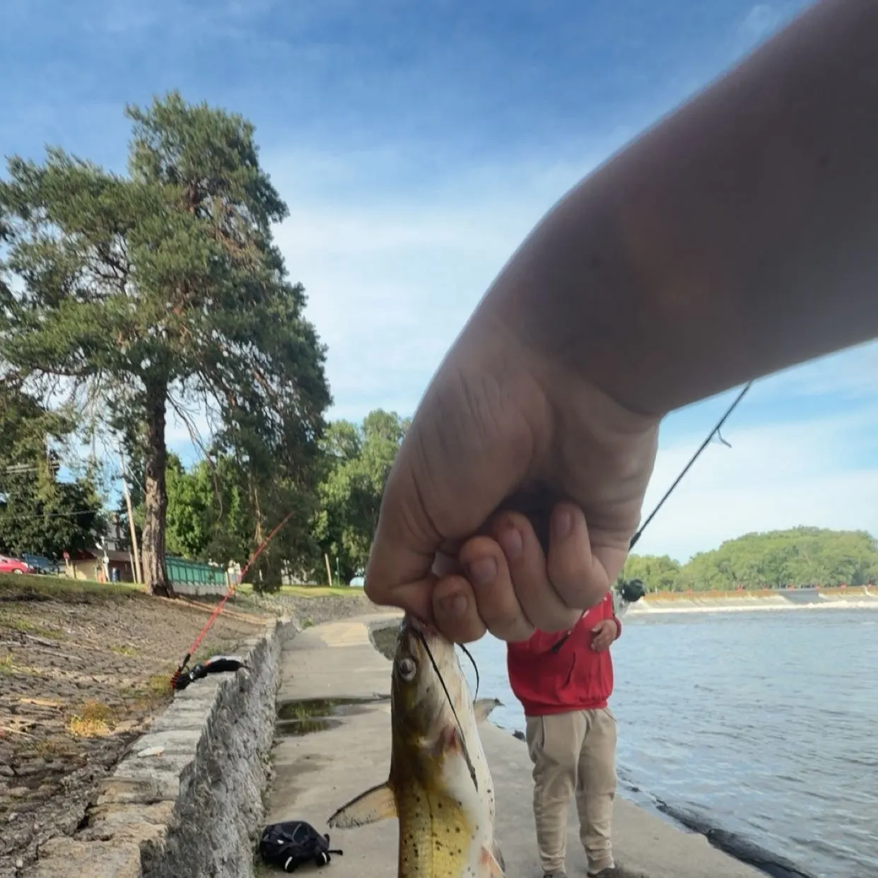 catch