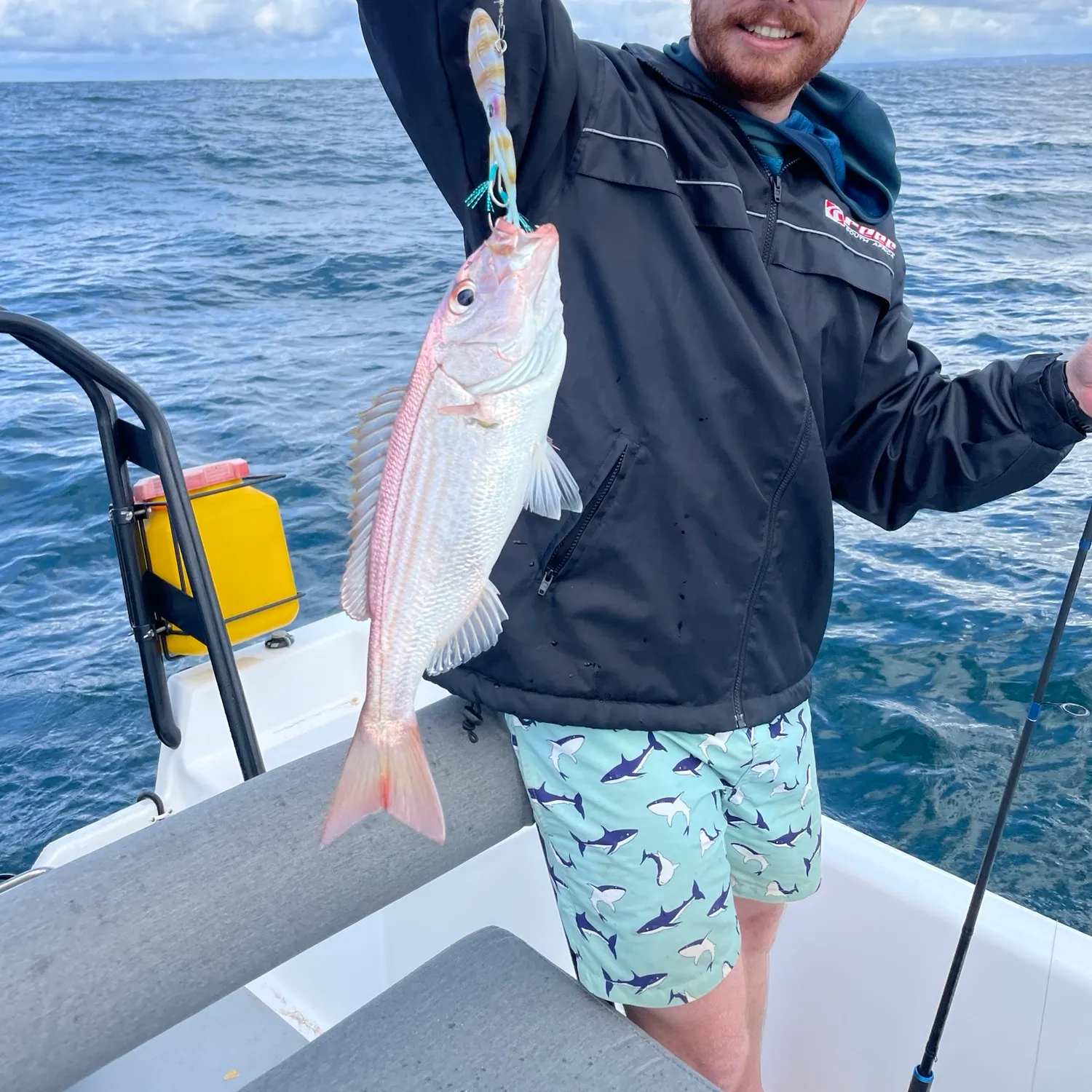 The most recent Carpenter seabream catches on Fishbrain